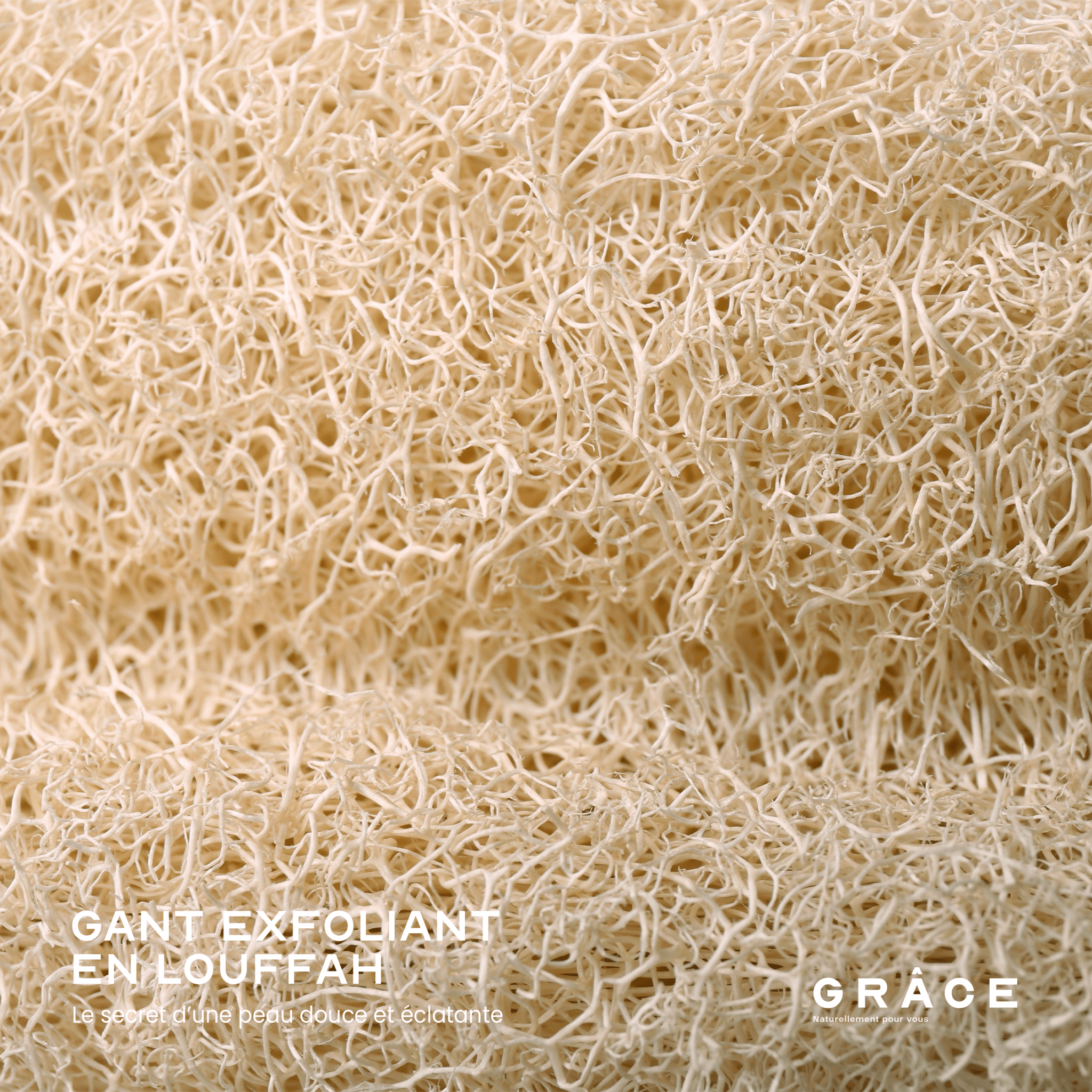 Gant exfoliant en Louffah - Aya Cosmetique